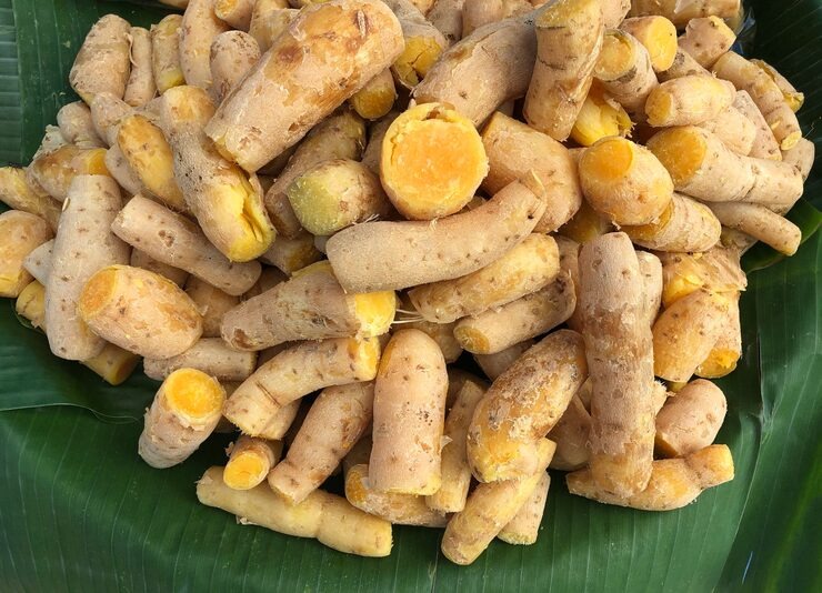 Pohor Phukan